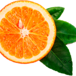 orange__0007_Layer-1.png orange__0007_Layer-1.png